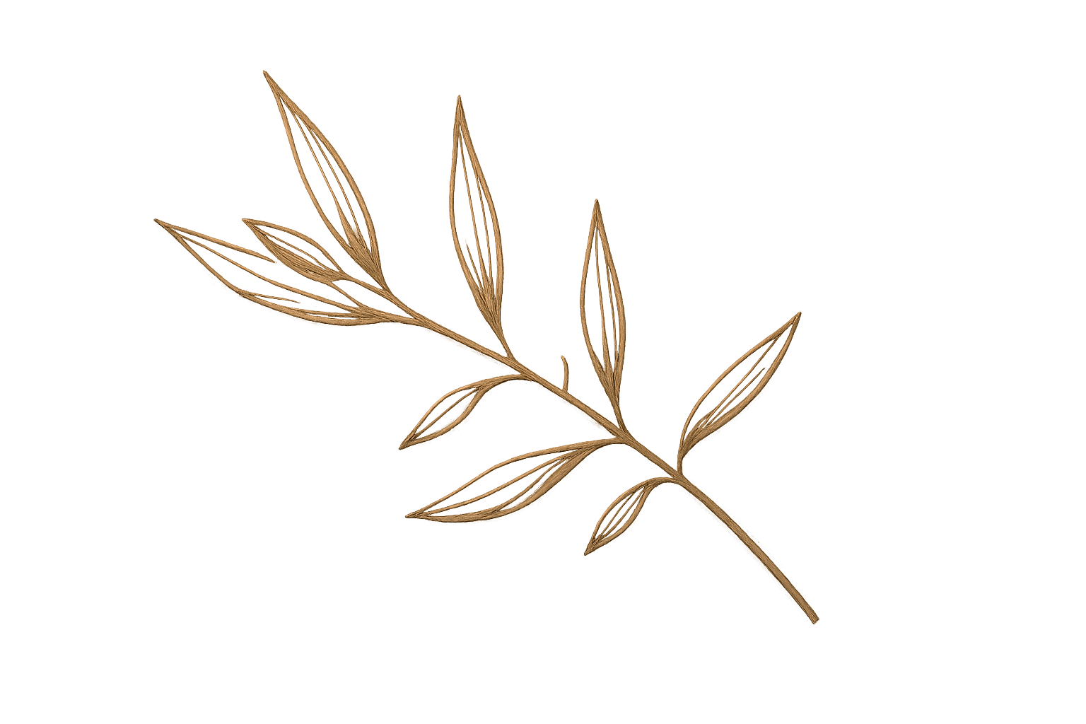 Decoración SenseCand