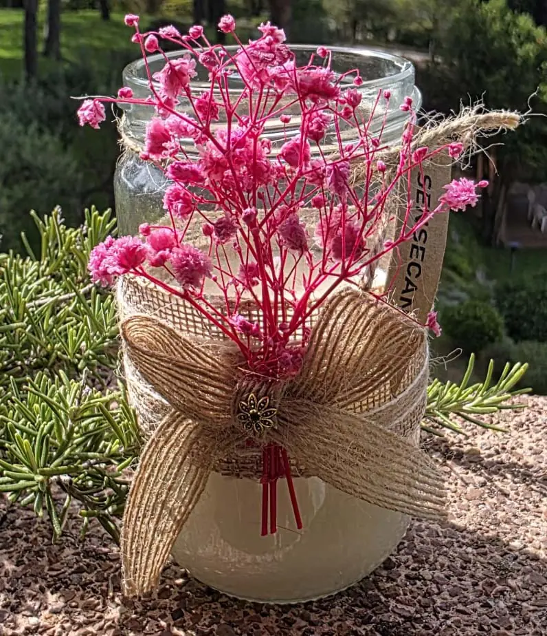 Vela Rosa de Mar - Imagen 3