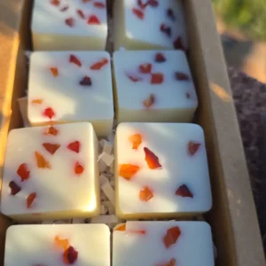 Wax Melt Canela & Naranja Cornalina